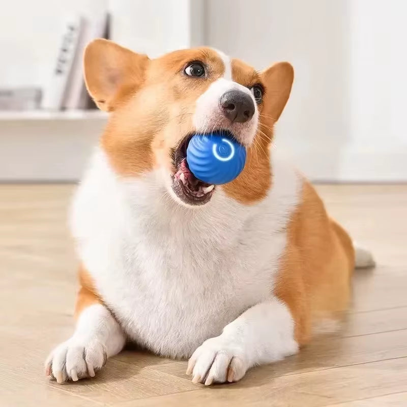 1Pcs pet Toys Intelligent Gravity Jump Ball. Rechargeable Bite-Resistant Rolling Ball Cat and Dog Chase Interactive Pet Toy