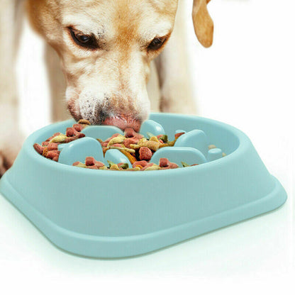 Dog Bowl Slow Feeder Pet Bowl anti Bloating Interactive Feed Dish