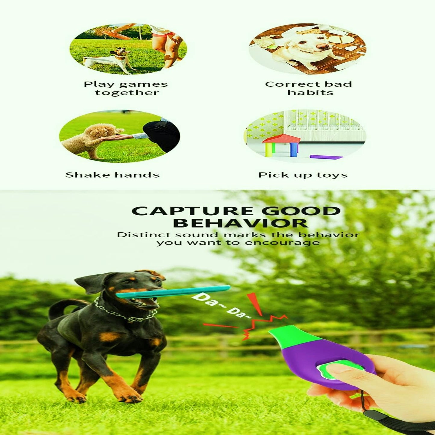 Train Your Pup Like a Pro! 🐾💜 Get Our Dog Training Clicker with Whistle & Wrist Strap - Perfect for All Ages! 🎉 #DogTraining #PuppyLove