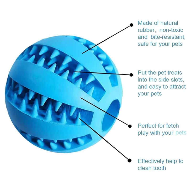 Interactive ball / feeder 
