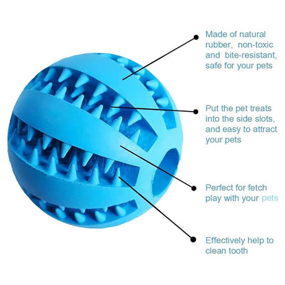 Interactive ball / feeder 