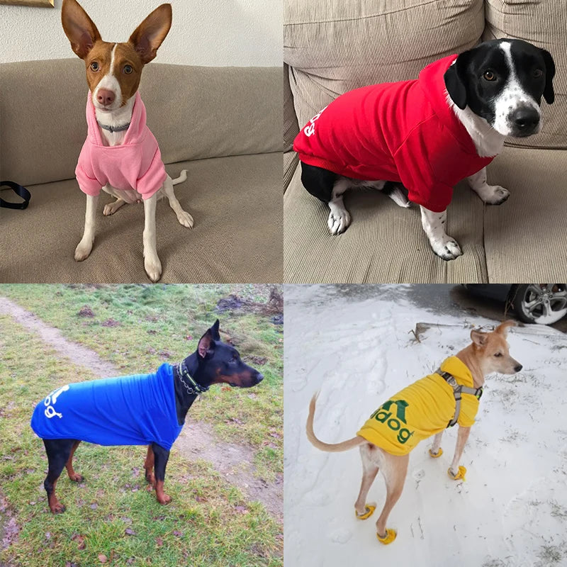 Stay cosy this winter with our 2025 collection of warm hoodies for your furry friends! Perfect for small to large dogs! 🐾❤️ #PetFashion #WinterWear
