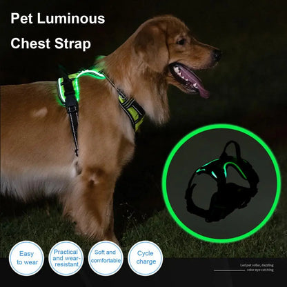 Glow in the Dark Adjustable LED Dog Harness - Rechargeable Vest for Safe Night Walks with Small to Medium Dogs