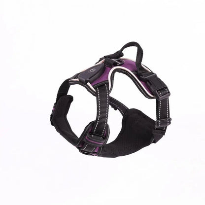 Glow in the Dark Adjustable LED Dog Harness - Rechargeable Vest for Safe Night Walks with Small to Medium Dogs