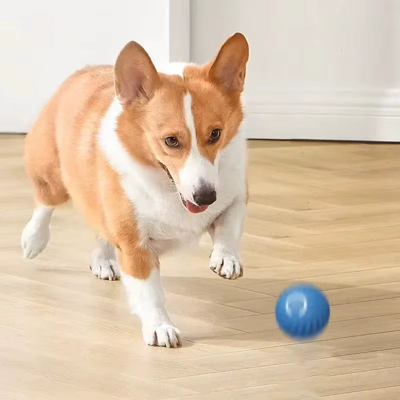 1Pcs pet Toys Intelligent Gravity Jump Ball. Rechargeable Bite-Resistant Rolling Ball Cat and Dog Chase Interactive Pet Toy