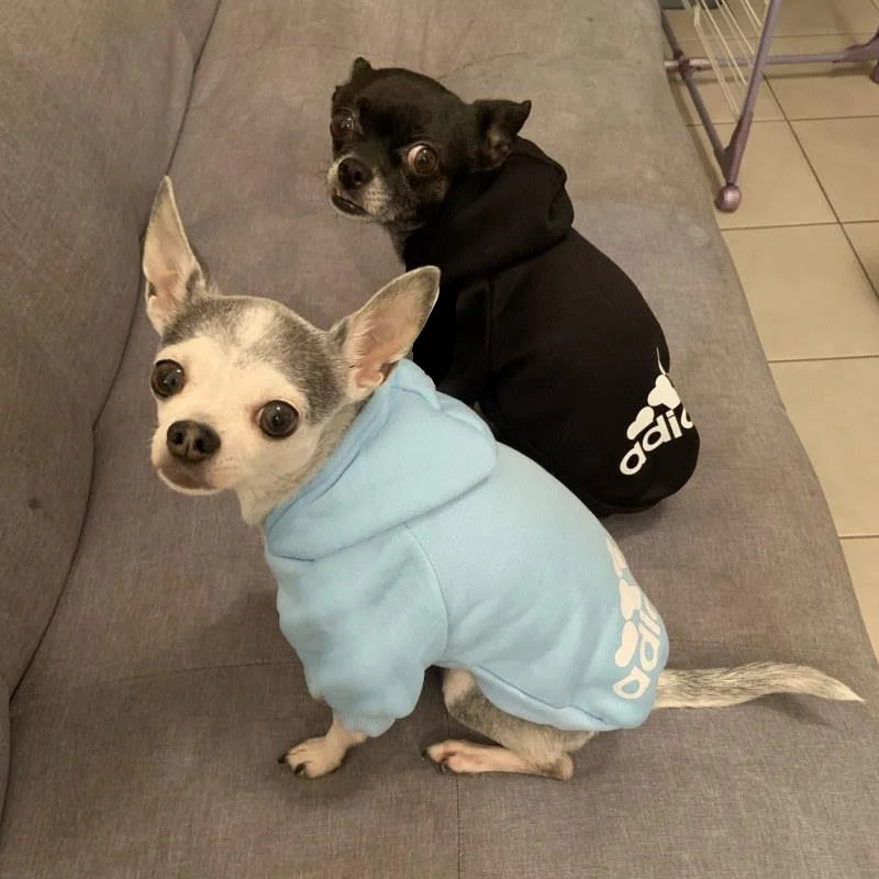 Stay cosy this winter with our 2025 collection of warm hoodies for your furry friends! Perfect for small to large dogs! 🐾❤️ #PetFashion #WinterWear