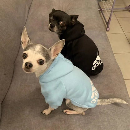Stay cosy this winter with our 2025 collection of warm hoodies for your furry friends! Perfect for small to large dogs! 🐾❤️ #PetFashion #WinterWear