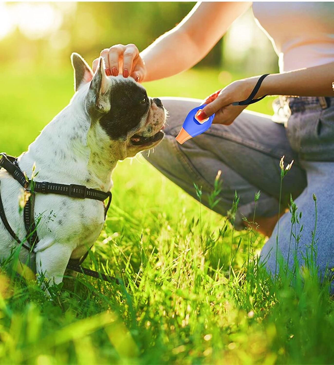 Train Your Pup Like a Pro! 🐾💜 Get Our Dog Training Clicker with Whistle & Wrist Strap - Perfect for All Ages! 🎉 #DogTraining #PuppyLove