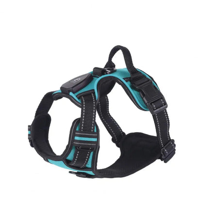 Glow in the Dark Adjustable LED Dog Harness - Rechargeable Vest for Safe Night Walks with Small to Medium Dogs