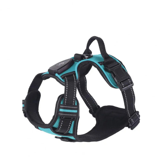 Glow in the Dark Adjustable LED Dog Harness - Rechargeable Vest for Safe Night Walks with Small to Medium Dogs