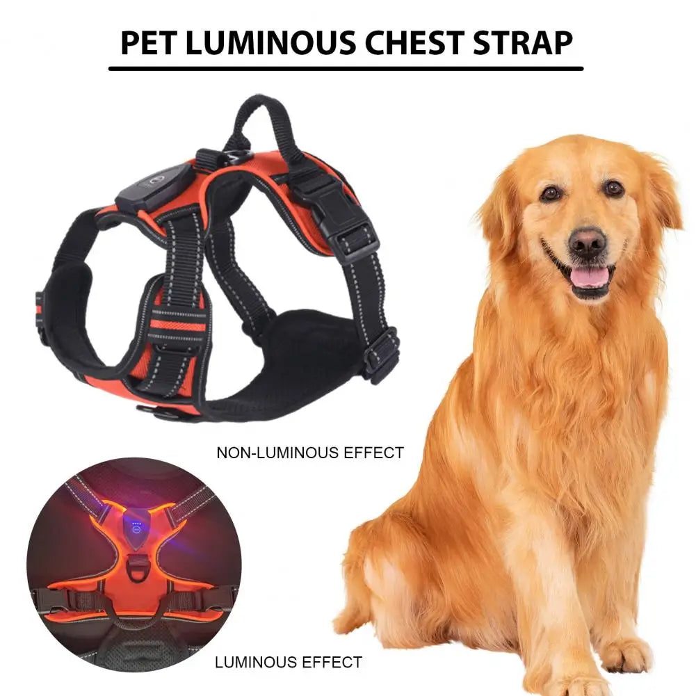 Glow in the Dark Adjustable LED Dog Harness - Rechargeable Vest for Safe Night Walks with Small to Medium Dogs
