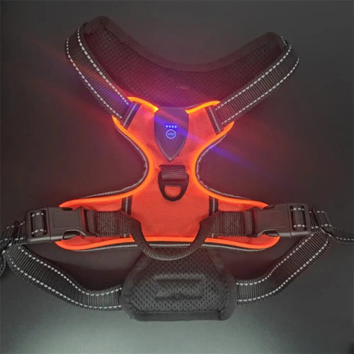 Glow in the Dark Adjustable LED Dog Harness - Rechargeable Vest for Safe Night Walks with Small to Medium Dogs