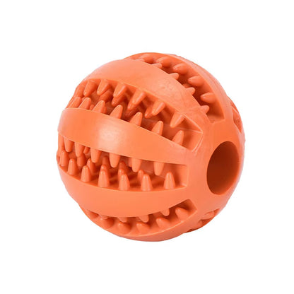 Interactive ball / feeder 