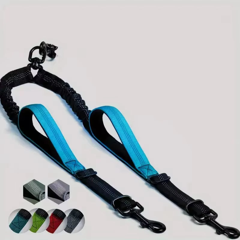 Tangled Tails: The Ultimate Duo Dog Leash for Canine Chaos and Padded Paws!