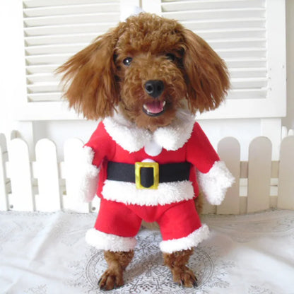 Get Your Furry Friend Ready for the Holidays with Our Adorable Santa Claus Costume! 🎅🐾 Perfect Winter Jacket for Dogs & Cats! 🐶🐱✨