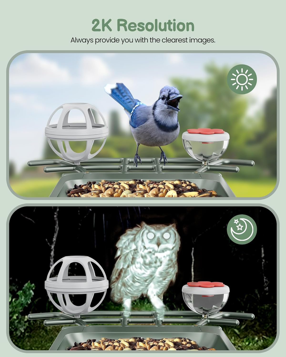 Smart Bird Feeder with Solar Camera - 2K HD Live Video & AI Recognition for Garden Bird Watching - Perfect Gift for Bird Lovers