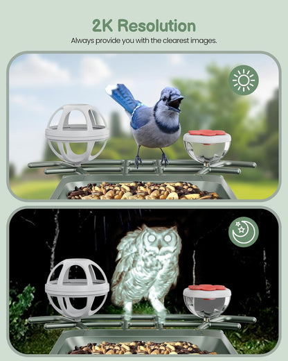 Smart Bird Feeder with Solar Camera - 2K HD Live Video & AI Recognition for Garden Bird Watching - Perfect Gift for Bird Lovers