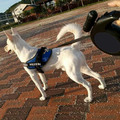 Unleash Adventure with Our Heavy Duty 8M Retractable Dog Leash – Perfect for Big Dogs! 🐾💪