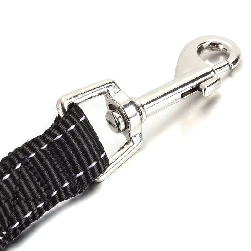 Double Dog Walking Coupler Leash - Bungee Elastic Splitter for Two Dogs