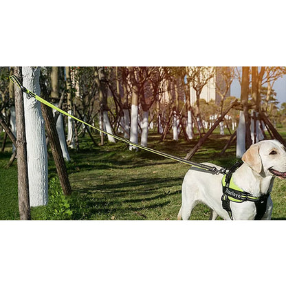 Multi-Functional 7-in-1 Adjustable Hands-Free Dog Leash with Reflective Features for Walking Two Dogs