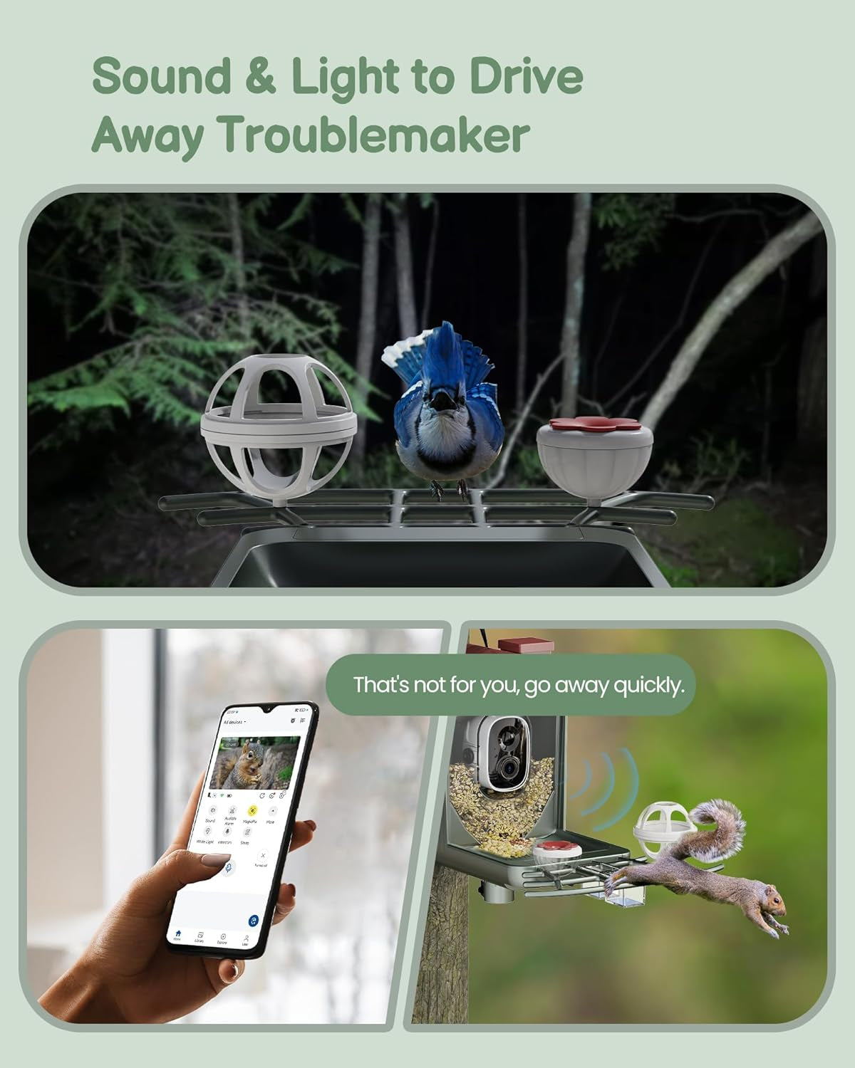 Smart Bird Feeder with Solar Camera - 2K HD Live Video & AI Recognition for Garden Bird Watching - Perfect Gift for Bird Lovers