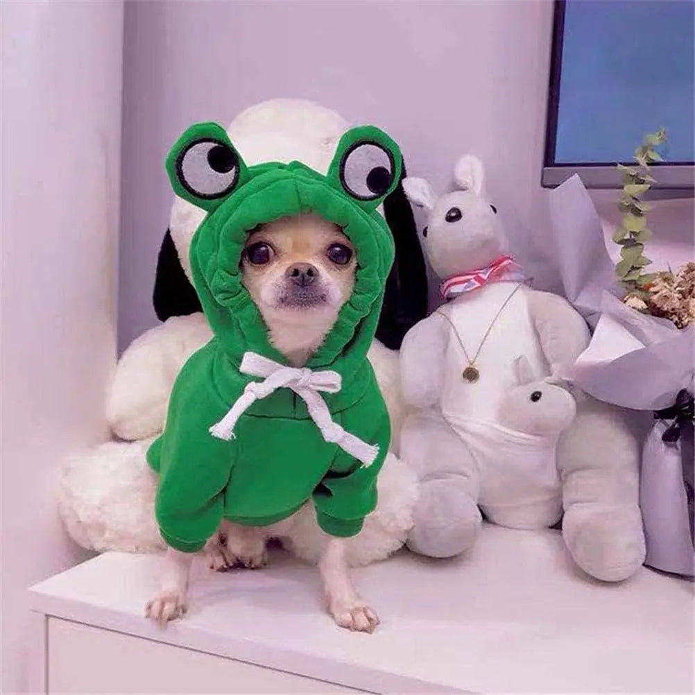 Froggy Fido's Fashion: The Ultimate Pup-kin Spice Hoodie for Halloween Hops!