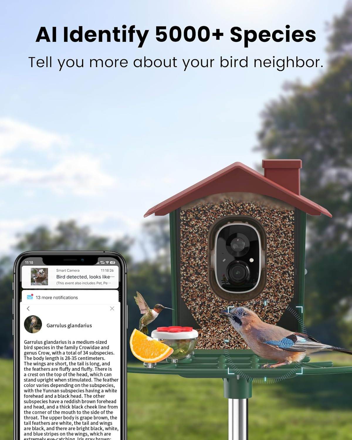 Smart Bird Feeder with Solar Camera - 2K HD Live Video & AI Recognition for Garden Bird Watching - Perfect Gift for Bird Lovers