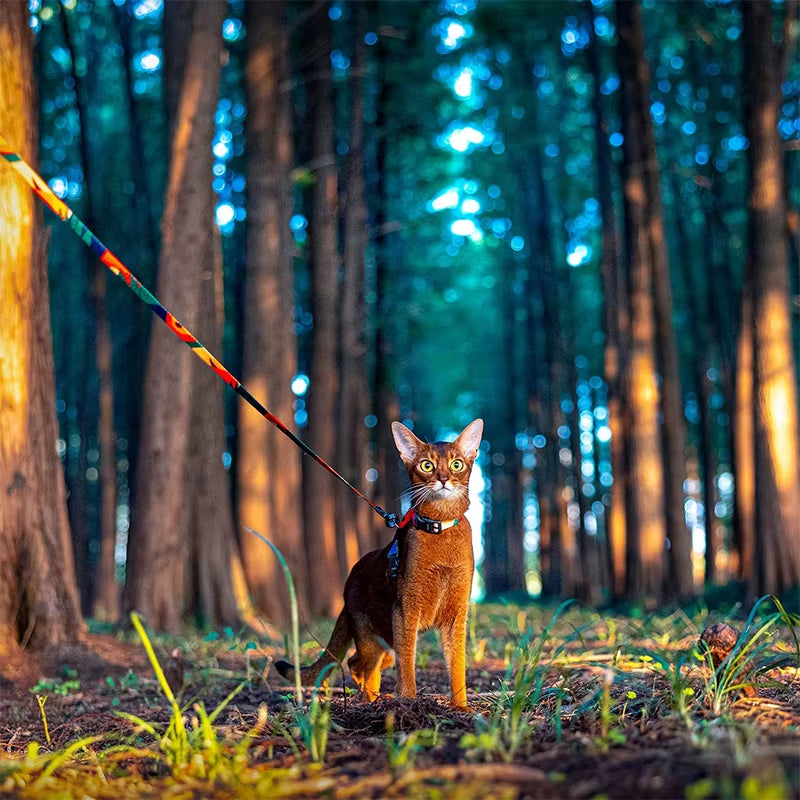 Keep Your Feline Friends Safe & Stylish with Our Adjustable Escape-Proof Cat Harness & Leash Set! 🐾✨ Perfect for All Sizes!
