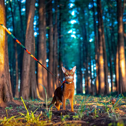 Keep Your Feline Friends Safe & Stylish with Our Adjustable Escape-Proof Cat Harness & Leash Set! 🐾✨ Perfect for All Sizes!