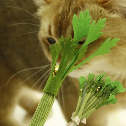 2Pcs Cat Chew Toy Bite Resistant Interactive Kitten Teeth Cleaning Toy Cat Teaser Training Sound Toy Pet Supplies