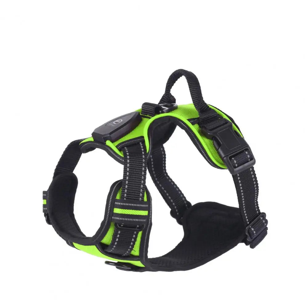 Glow in the Dark Adjustable LED Dog Harness - Rechargeable Vest for Safe Night Walks with Small to Medium Dogs
