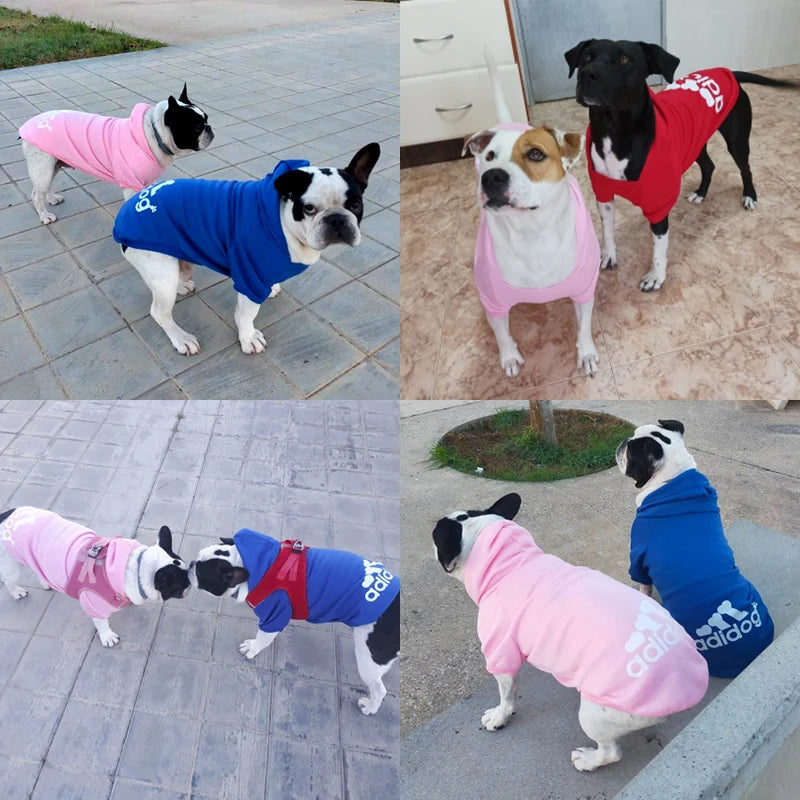 Stay cosy this winter with our 2025 collection of warm hoodies for your furry friends! Perfect for small to large dogs! 🐾❤️ #PetFashion #WinterWear