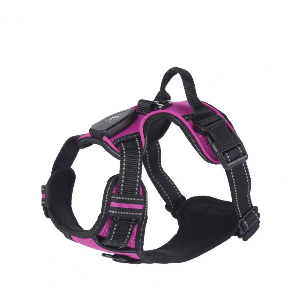 Glow in the Dark Adjustable LED Dog Harness - Rechargeable Vest for Safe Night Walks with Small to Medium Dogs