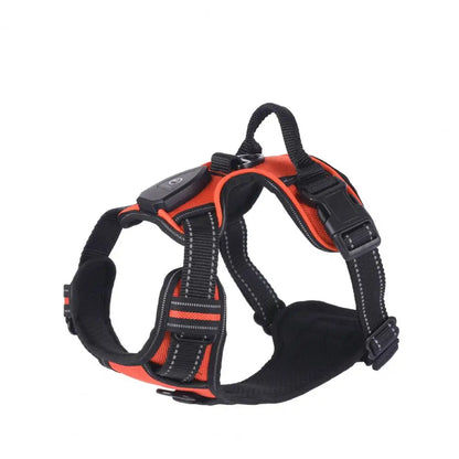 Glow in the Dark Adjustable LED Dog Harness - Rechargeable Vest for Safe Night Walks with Small to Medium Dogs