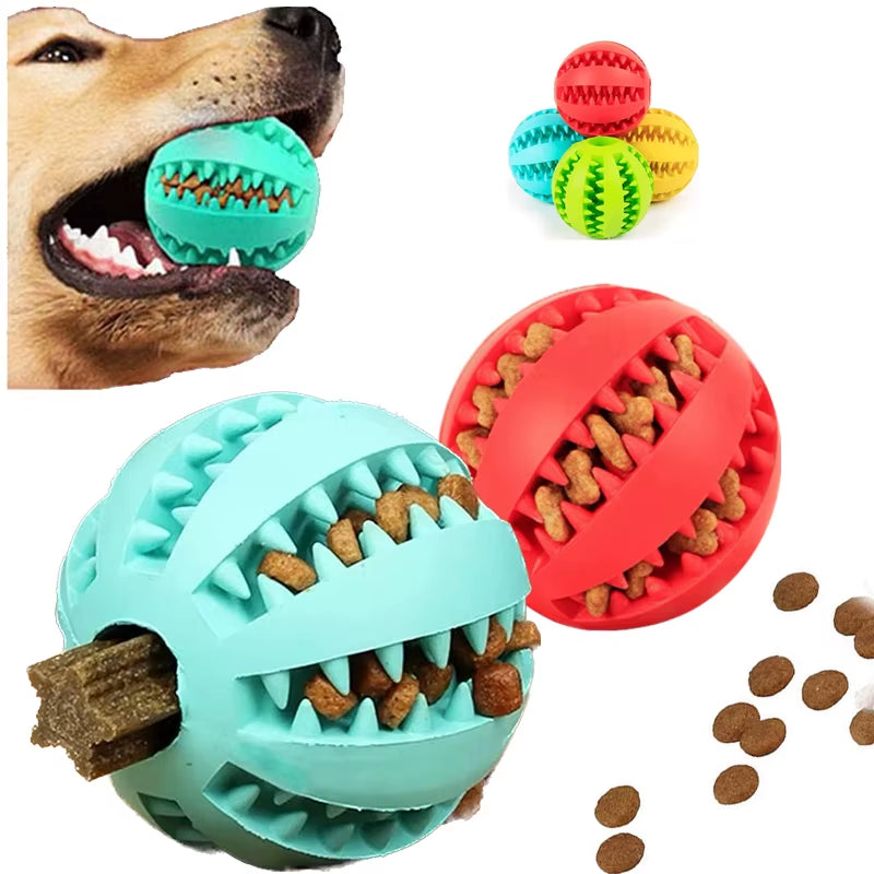 Interactive ball / feeder 