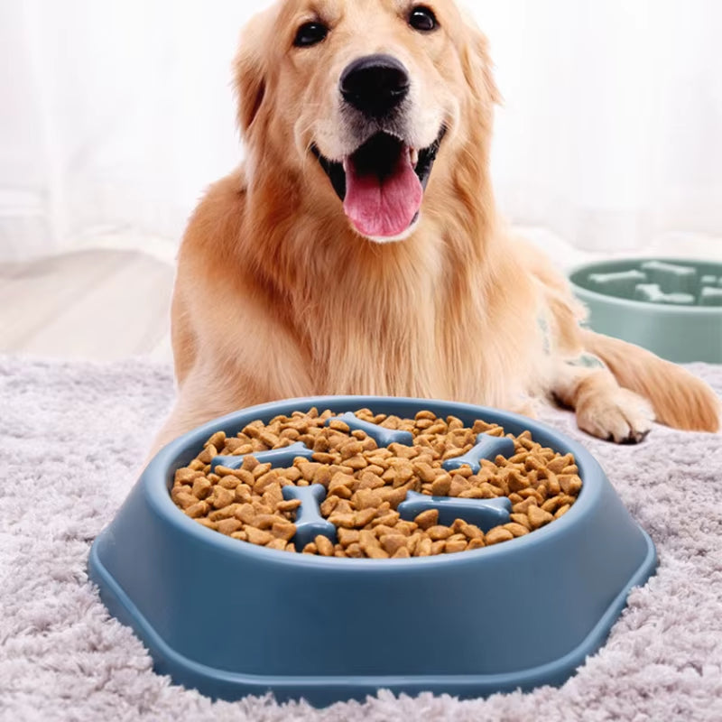 Pet Slow Food Bowl Anti-Choking Feeder 