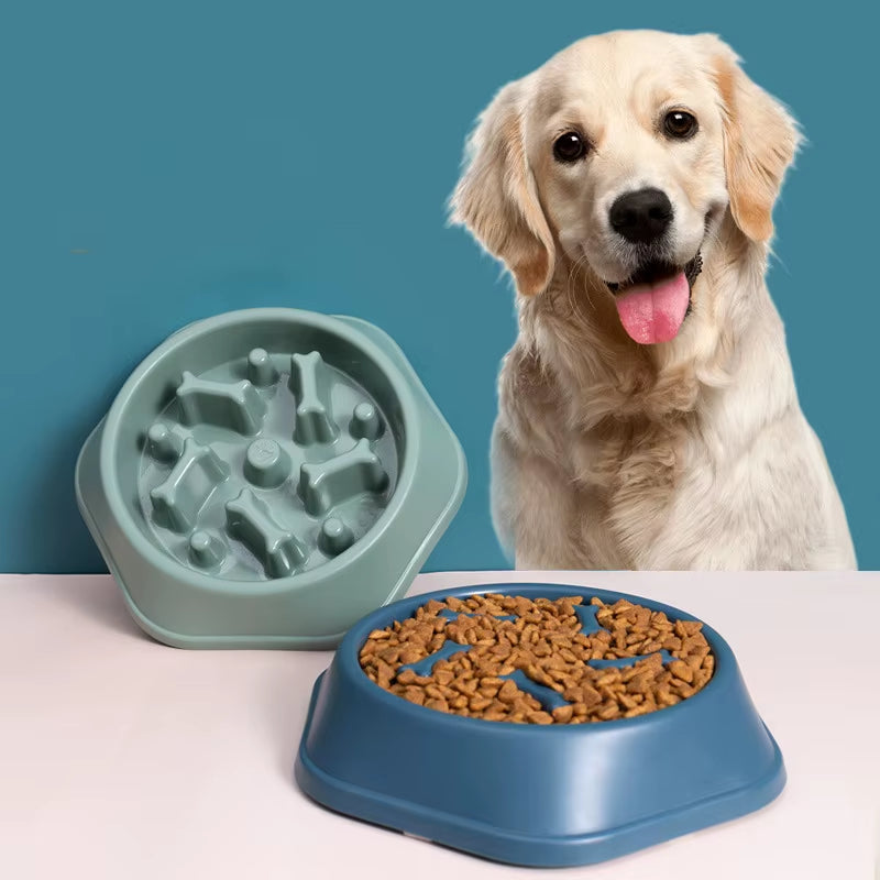 Pet Slow Food Bowl Anti-Choking Feeder 