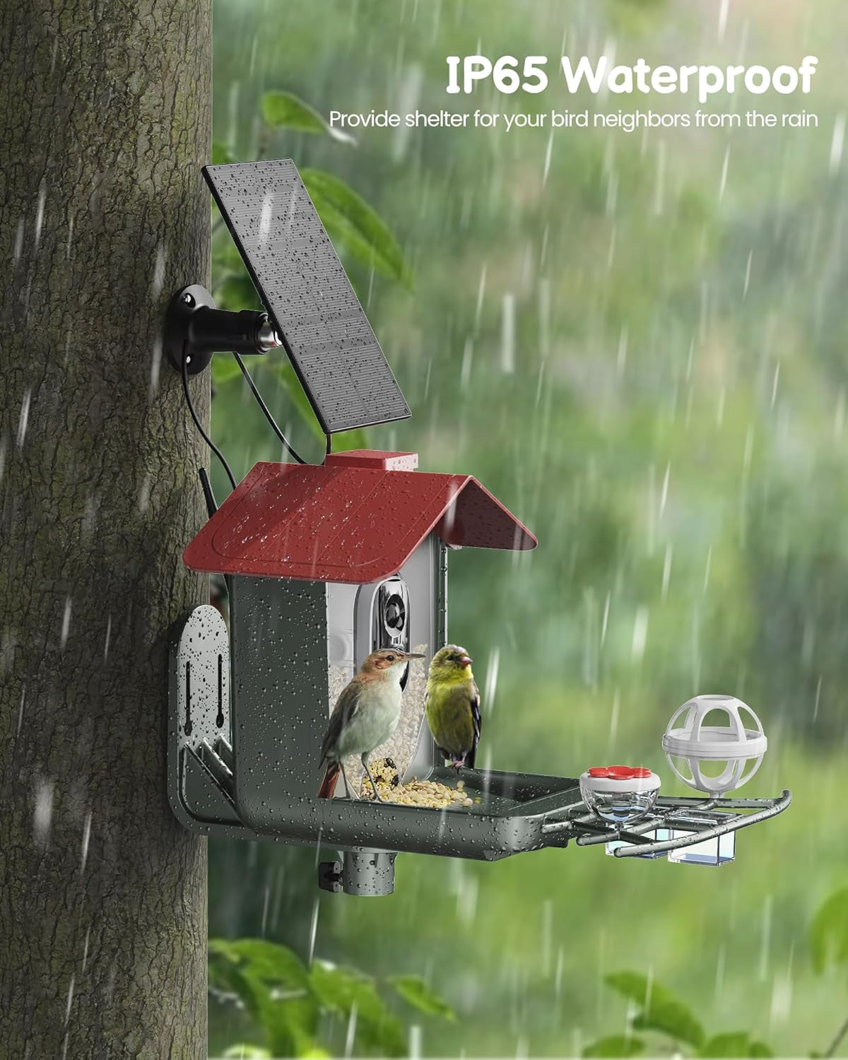Smart Bird Feeder with Solar Camera - 2K HD Live Video & AI Recognition for Garden Bird Watching - Perfect Gift for Bird Lovers